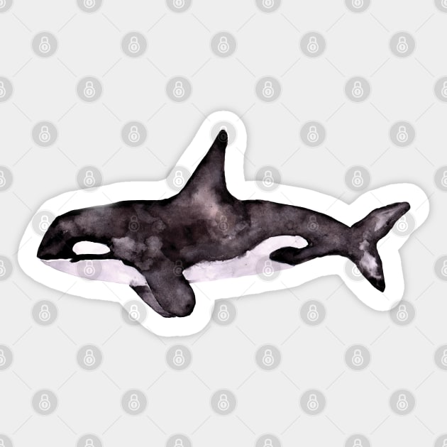 Watercolor Orca Sticker by Harpleydesign